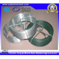 PVC revestido galvanizado fio (CE, SGS, ISO)